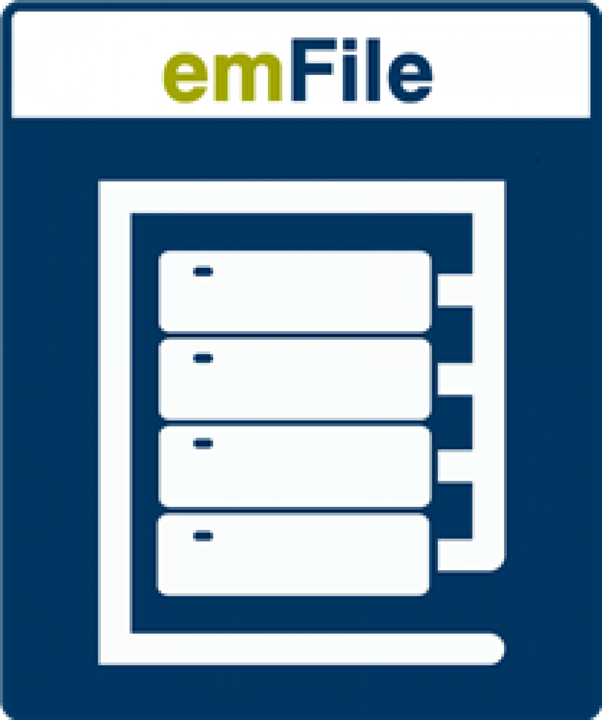 emFile - RAID 1